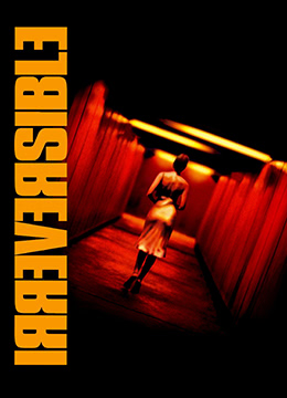 Irreversible.2002.FR.BluRay.1920x856p.x264.AC3-KOOK.[中英文双字符]